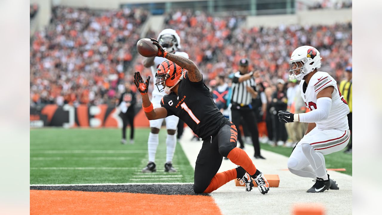 Bengals Dolphins Postgame Recap | Stats, Notes and Quotes