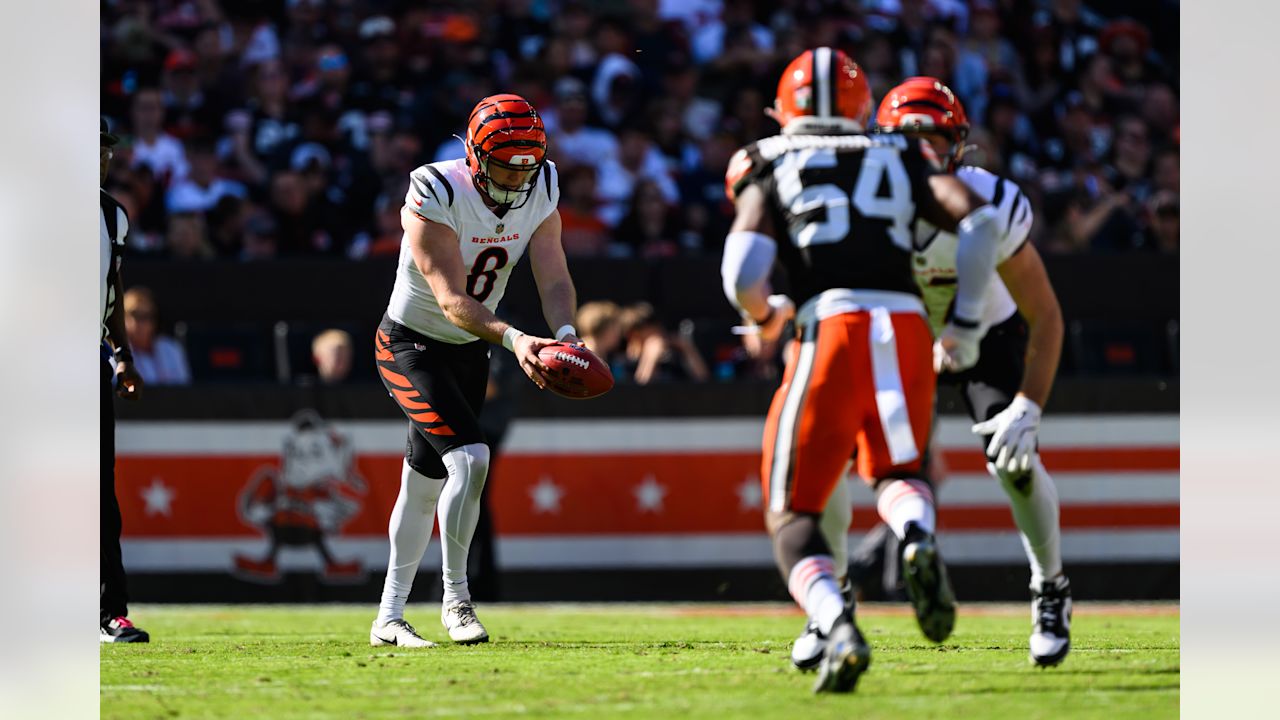 Bengals Banking On Ryan Rehkow To Hit New Heights: "Hasn't Scratched The  Surface'