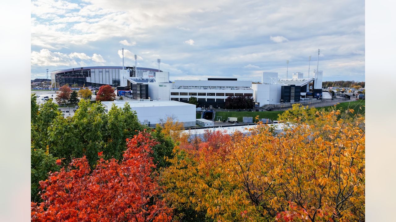 /*様 ブロメリアbillbergia mashmallow sunset ビル 様 ブロメリアbillbergia mashmallow sunset ビル