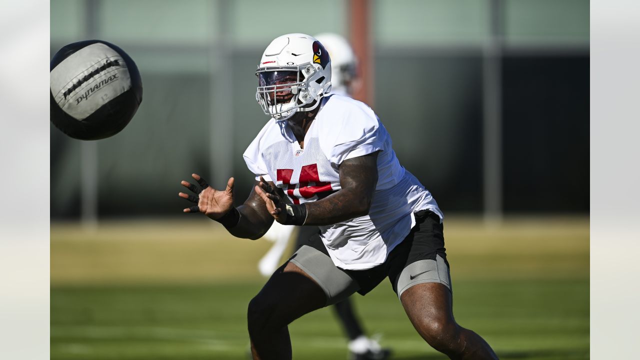 Arizona Cardinals might be struggling, but influx of rookies has surprised
