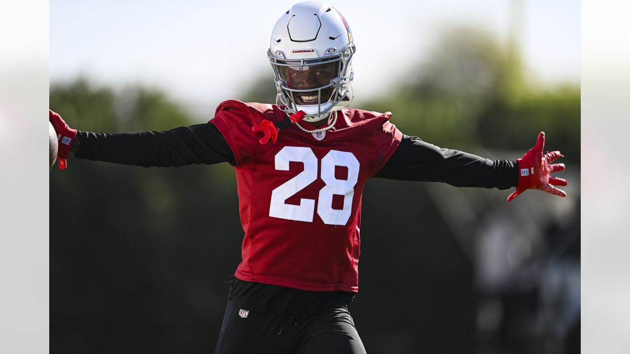 Arizona Cardinals might be struggling, but influx of rookies has surprised