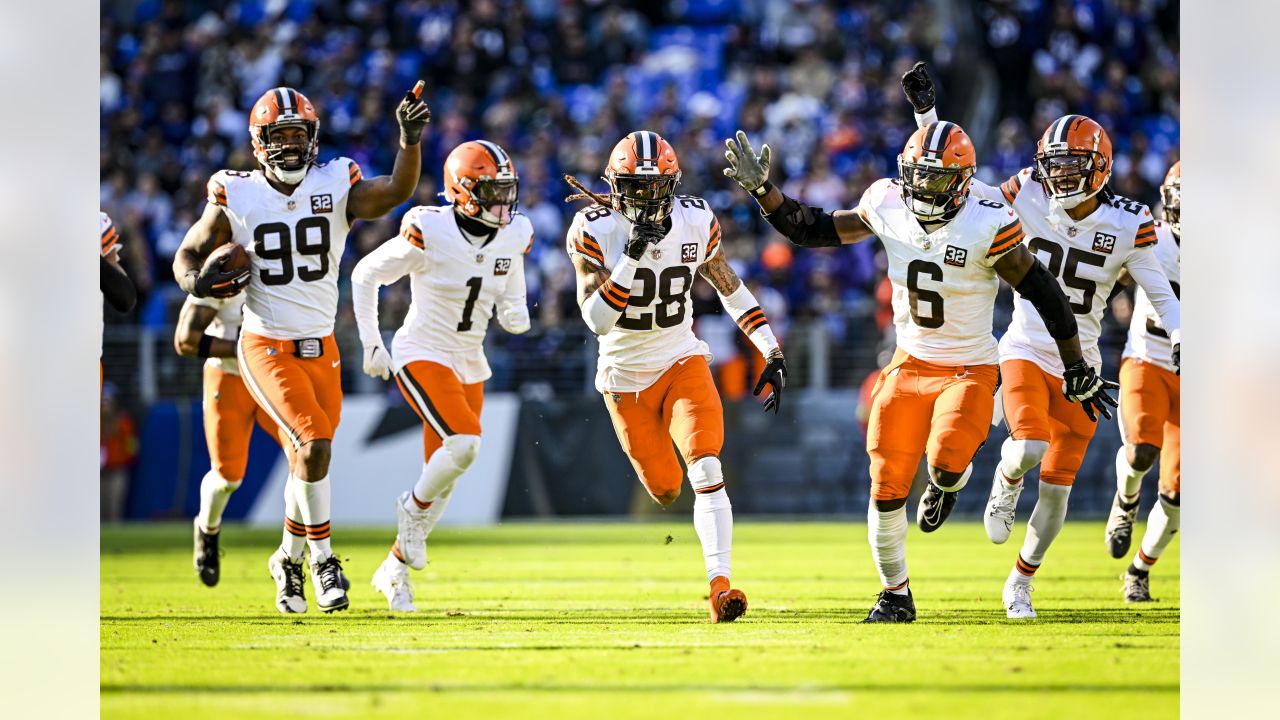 Cleveland Browns Windows 11/10 Theme 