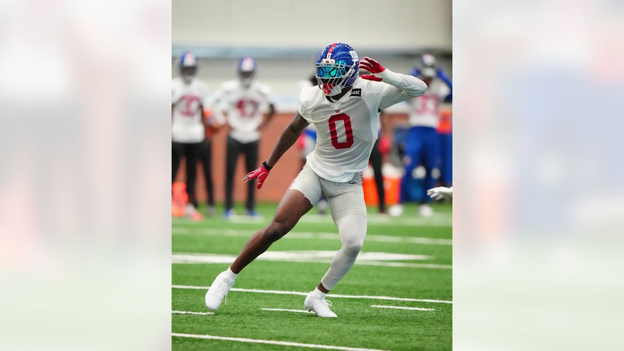 OLB Brian Burns (0)