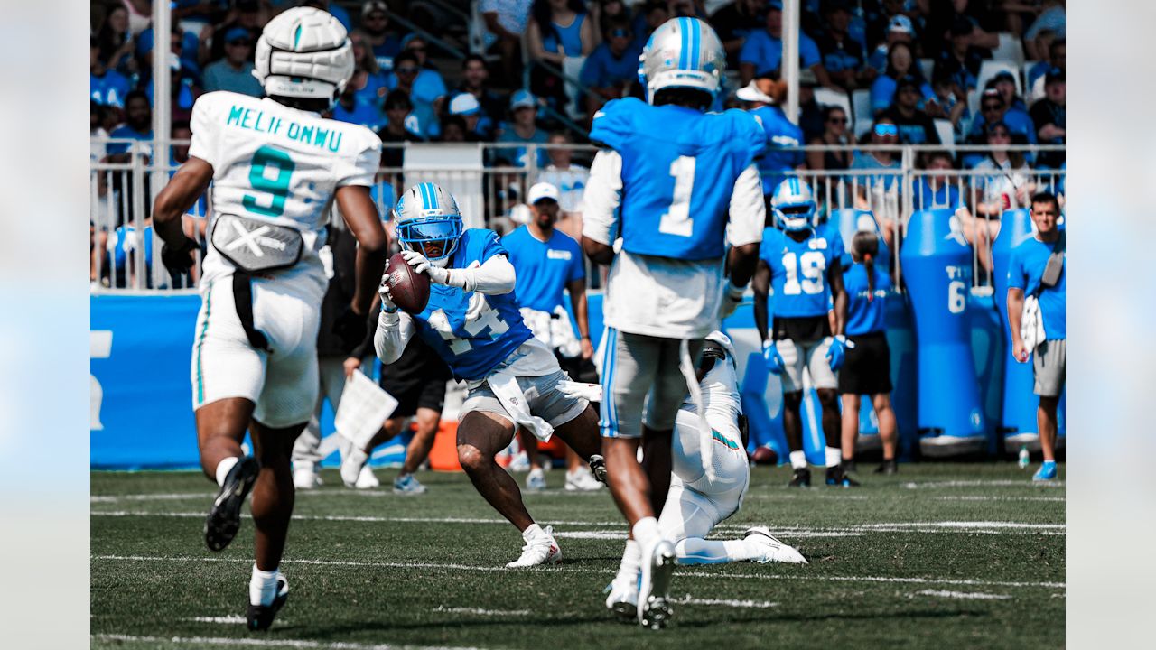Detroit Lions wide receiver Amon-Ra St. Brown (14) during training camp at the Meijer Performance Center on Aug. 14, 2025 in Allen Park, Mich. (Jeff Nguyen/Detroit Lions)