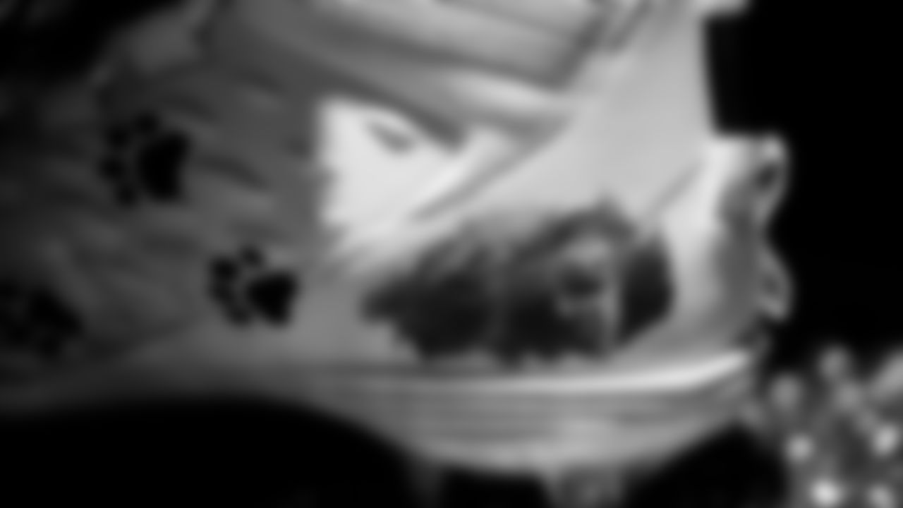 OL Dominick Puni - Humane Society