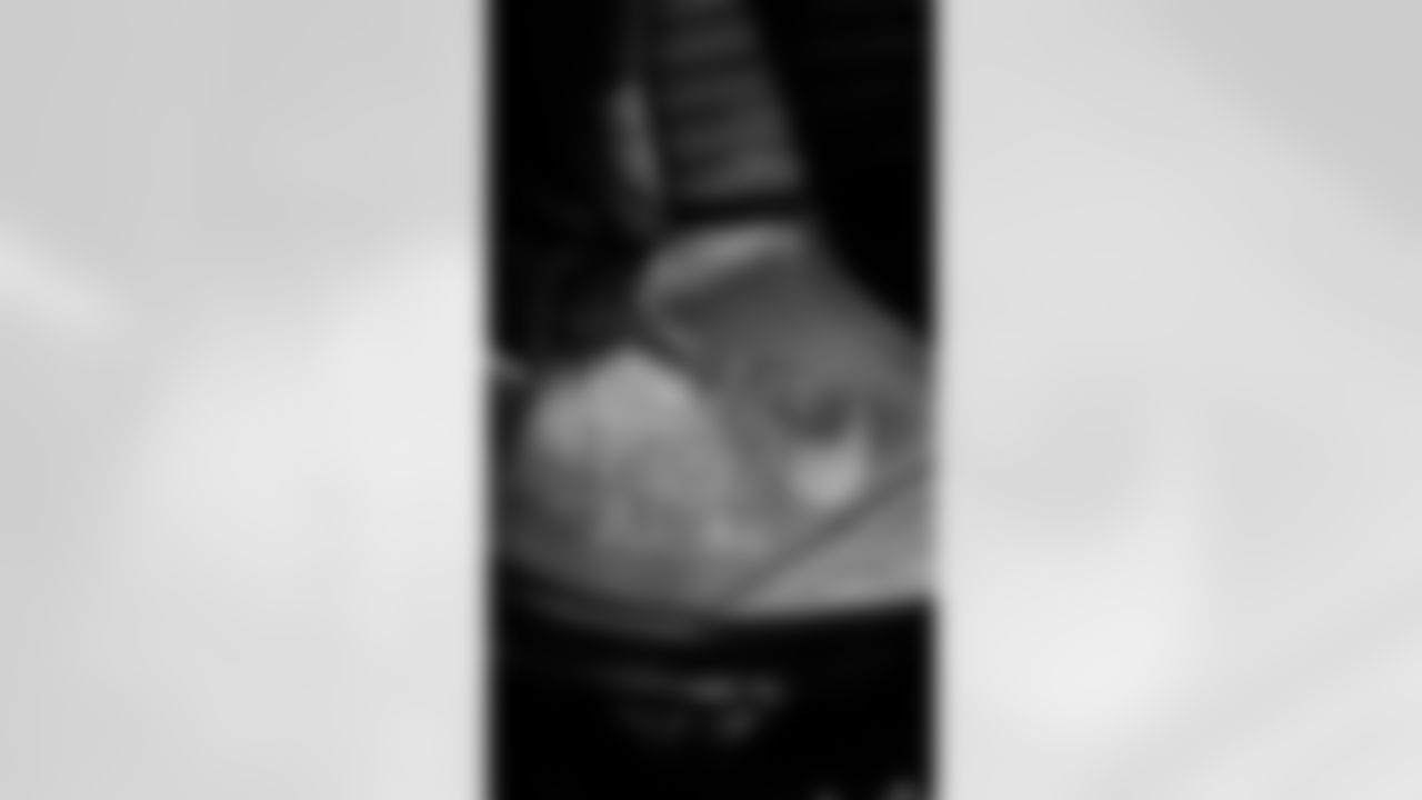 DL Alfred Collins - The Defensive line & Active Line