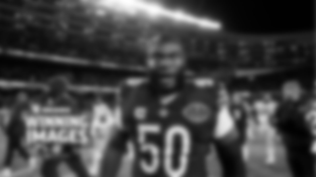 Winning-Images-Wild-Card-68