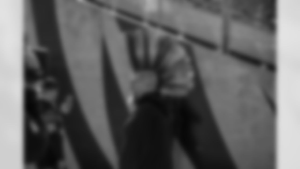 View the top fan photos from around the Jungle in 2025.