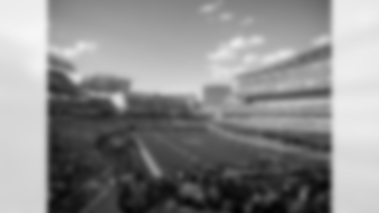 View the best fan photos from 2025 Stripe The Jungle against the Detroit Lions at Paycor Stadium, Sunday, Oct. 5, 2025.
