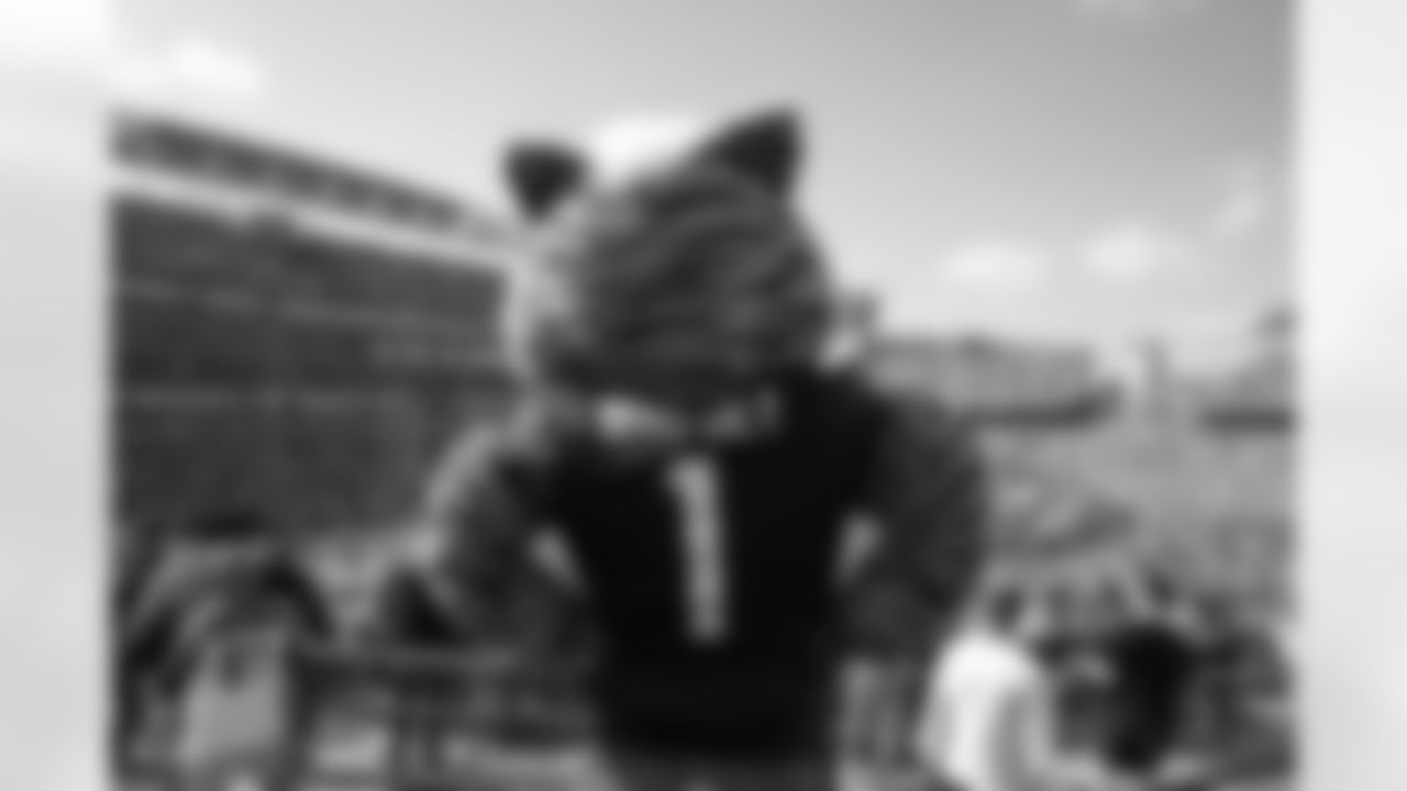 Who Dey during the Bengals Week 5 game against the Baltimore Ravens, Sunday, Oct. 5, 2024.