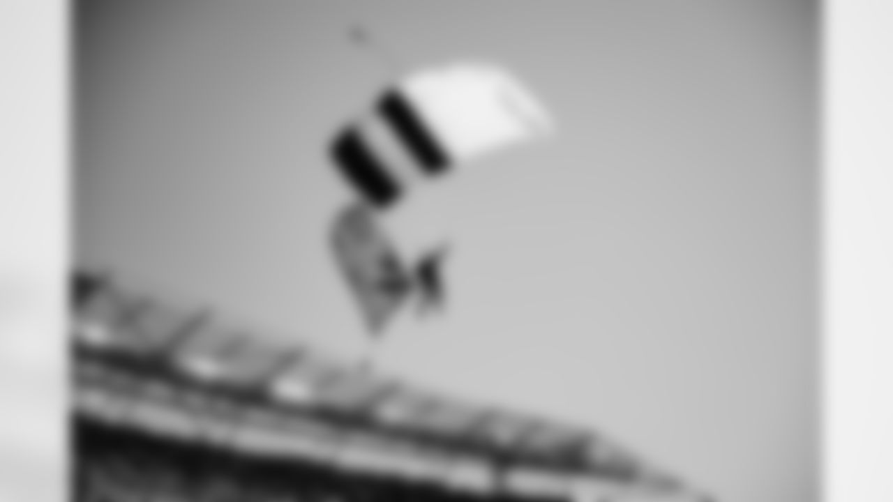 RZ3_6299