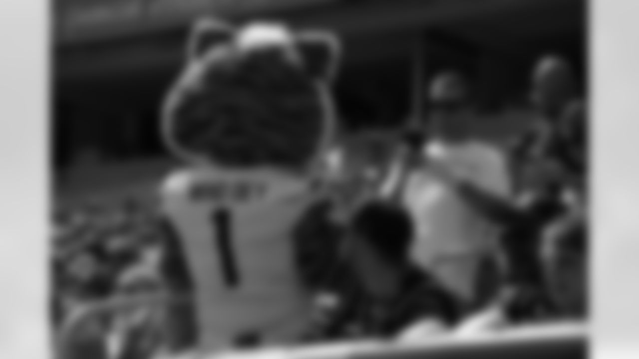 View the best fan photos from Paycor Stadium during the Bengals preseason finale against the Indianapolis Colts, Saturday, Aug. 23, 2025.