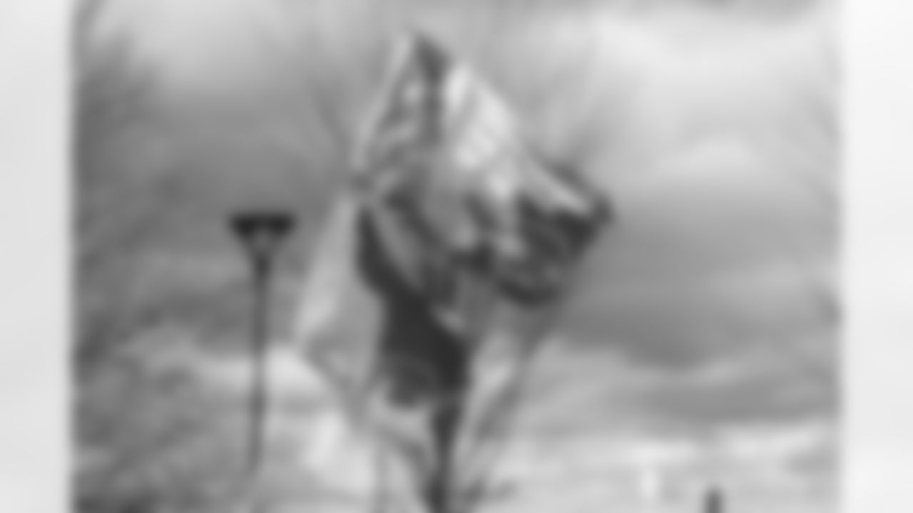 Buffalo Bills vs Tampa Bay Buccaneers, Regular Season, November 16, 2025 at Highmark Stadium.