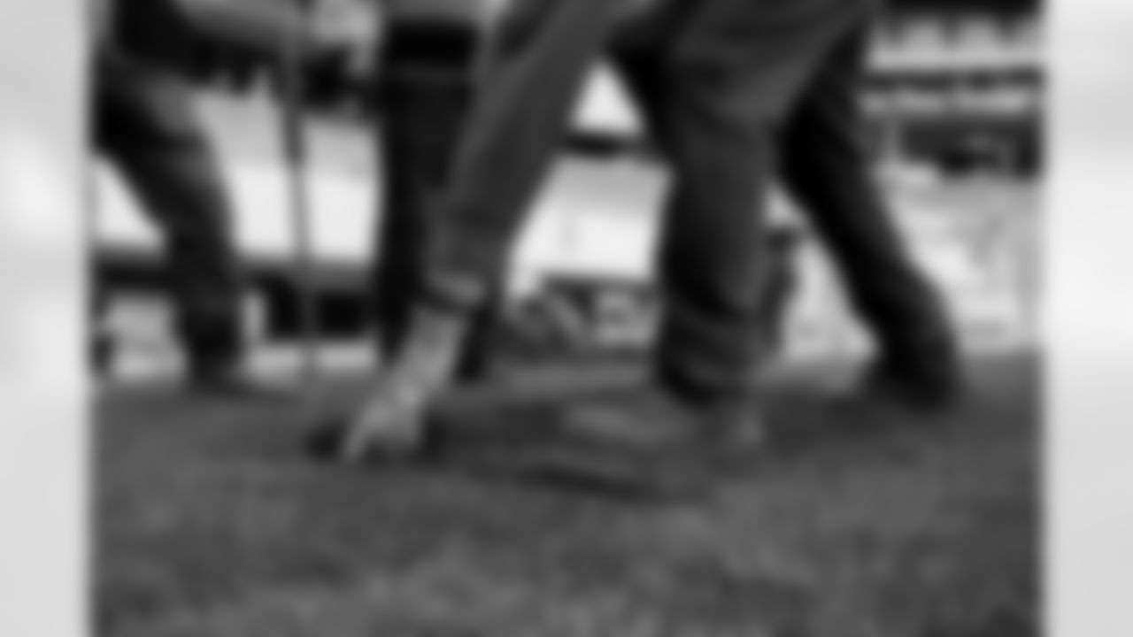 New Stadium Construction Sod Install, October 10, 2025 at Highmark Stadium.