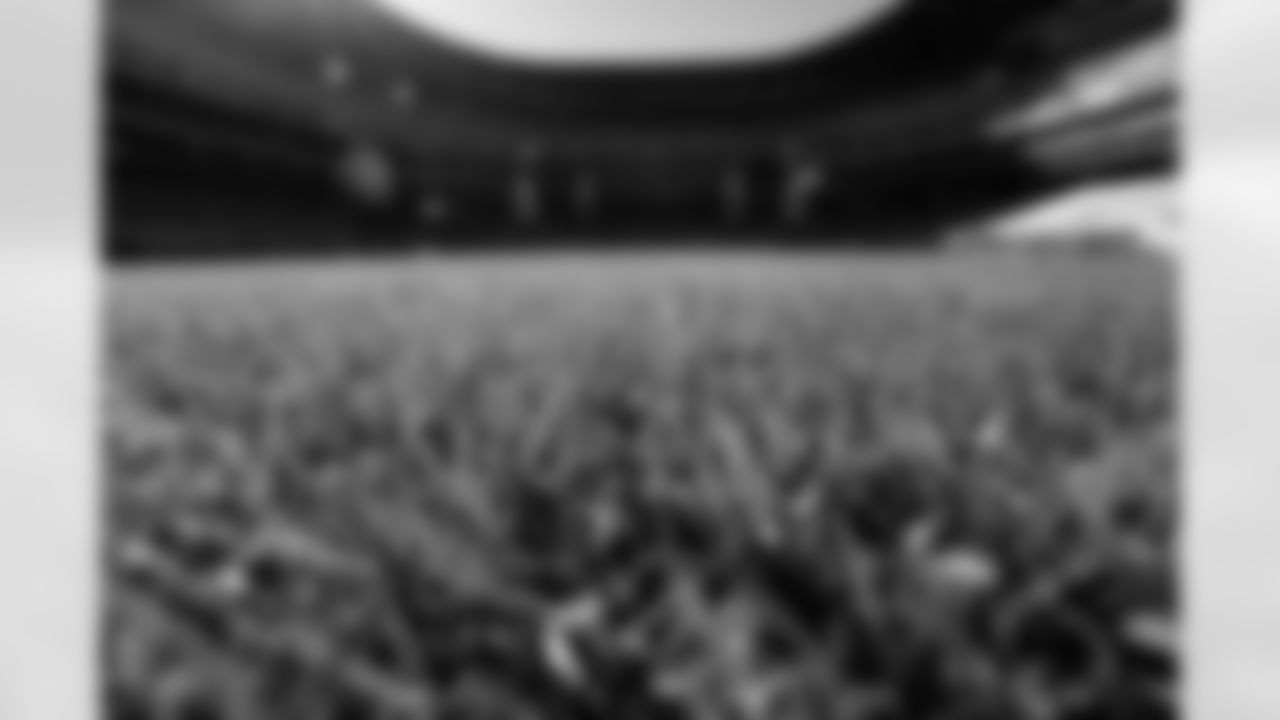 New Stadium Construction Sod Install, October 10, 2025 at Highmark Stadium.