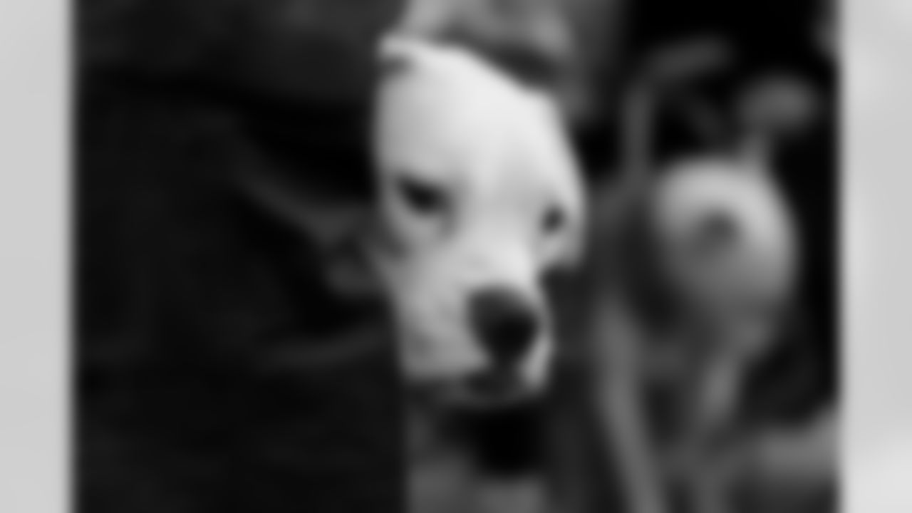 Khalil Shakir Pet Adoption, October 12, 2024 at Resurgence Brewing.