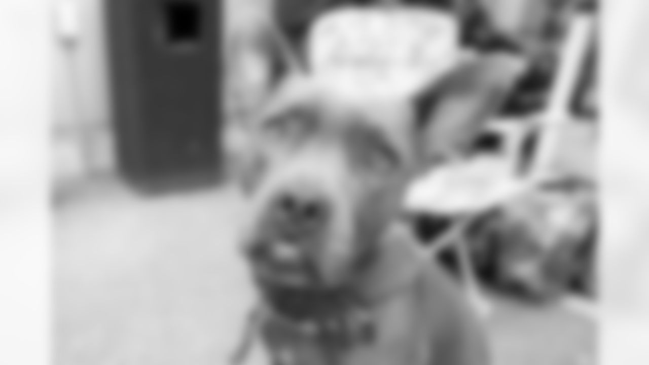 The Shakir Family Pet Adoption Event, August 30, 2025 at Northtown Toyota.