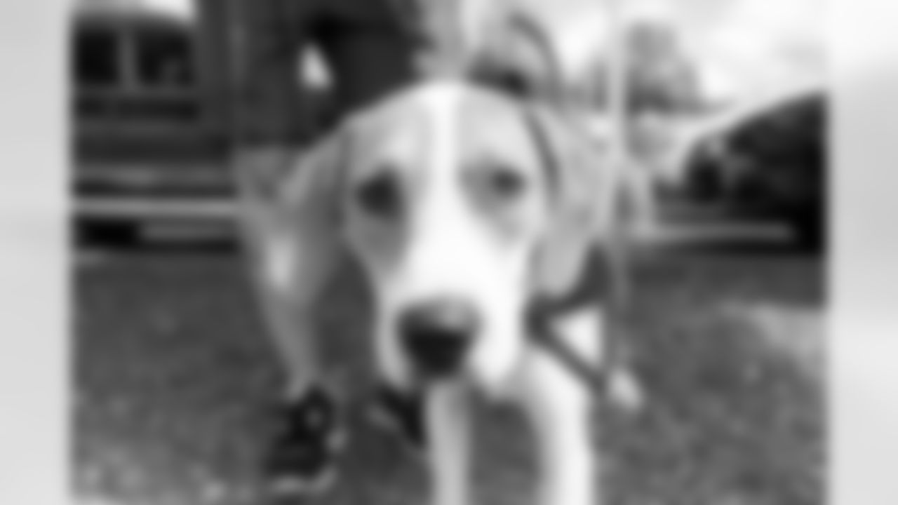 The Shakir Family Pet Adoption Event, August 30, 2025 at Northtown Toyota.