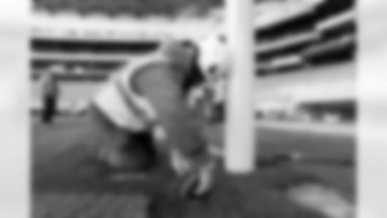 New Stadium Construction Sod Install, October 10, 2025 at Highmark Stadium.