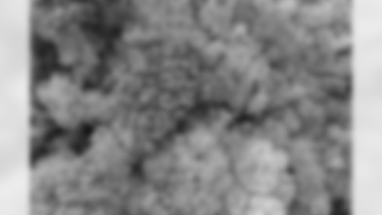 Fall Foliage with New Stadium Construction, July 20, 2025 at Highmark Stadium.