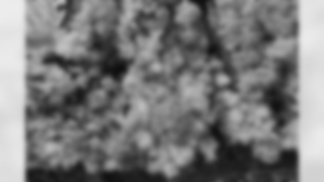 Fall Foliage with New Stadium Construction, July 20, 2025 at Highmark Stadium.