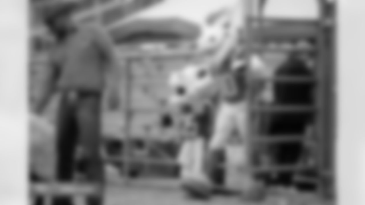 Photos from the filming of the Denver Broncos' mutton-busting-themed 2025 schedule release video.
Photo by Gabriel Christus / Denver Broncos