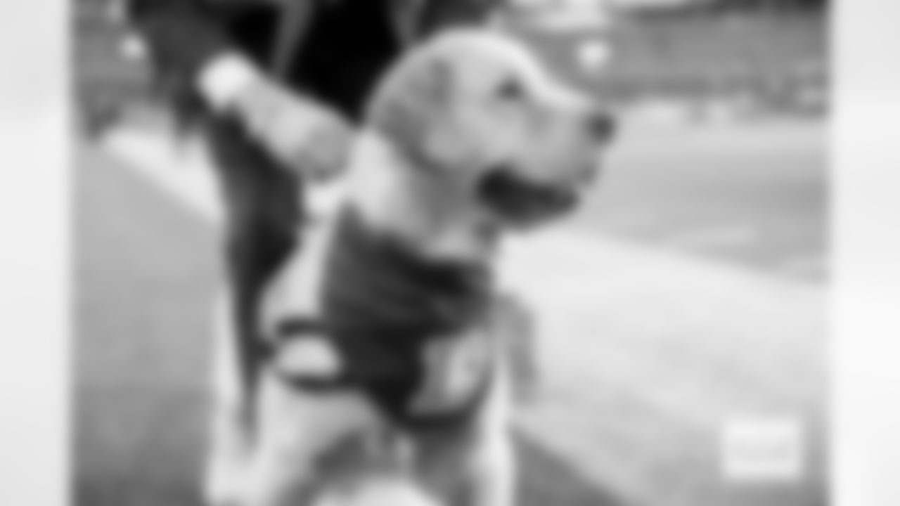 Kirk Herbstreit puts a Denver Broncos bandana on his dog Peter before the Broncos' Week 10 game against the Las Vegas Raiders at Empower Field at Mile High in Denver, Colorado on November 6, 2025. Photo by Gabriel Christus / Denver Broncos