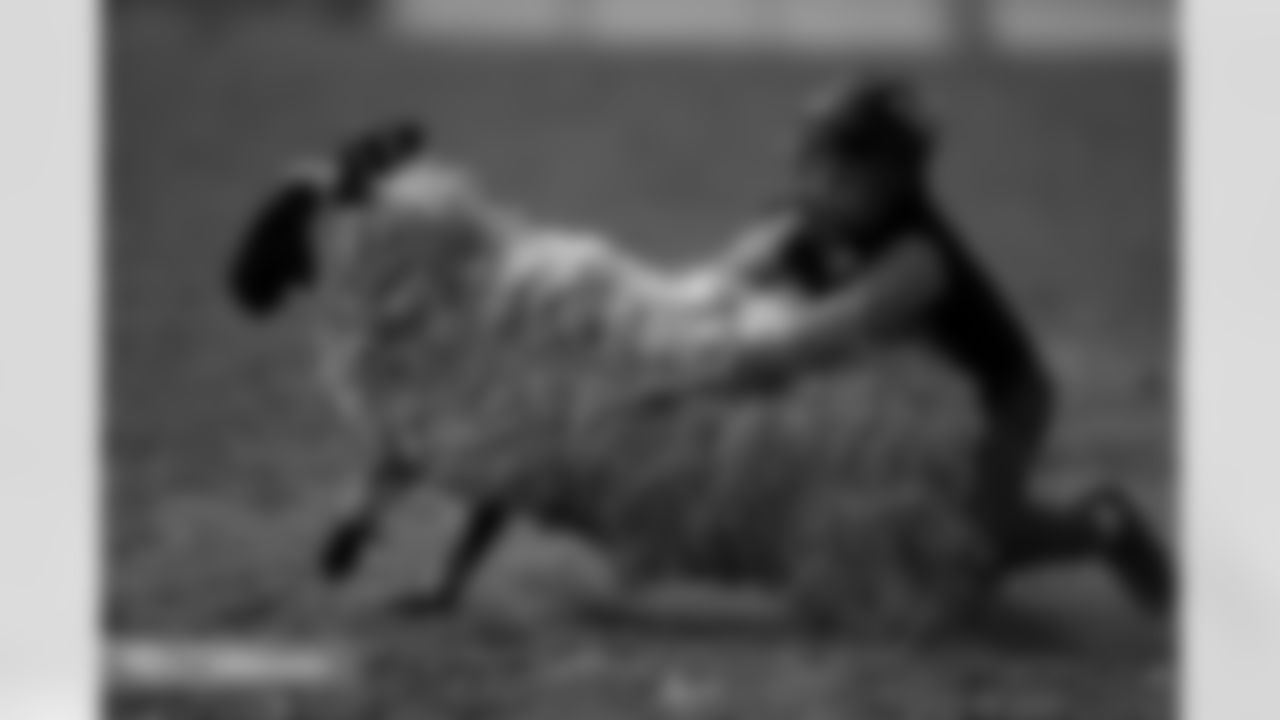 Photos from the filming of the Denver Broncos' mutton-busting-themed 2025 schedule release video.
Photo by Gabriel Christus / Denver Broncos