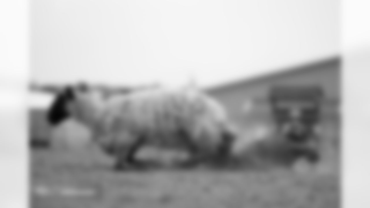 Photos from the filming of the Denver Broncos' mutton-busting-themed 2025 schedule release video.
Photo by Gabriel Christus / Denver Broncos