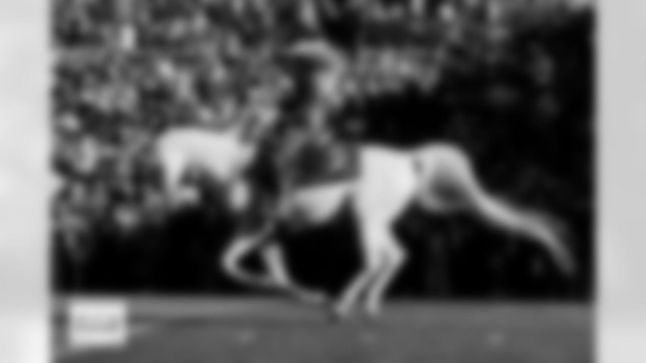 Ann Judge rides Thunder before the Broncos' Week 11 game against the Kansas City Chiefs at Empower Field at Mile High in Denver, Colorado on November 16, 2025. Photo by Gavin Liddell / Denver Broncos