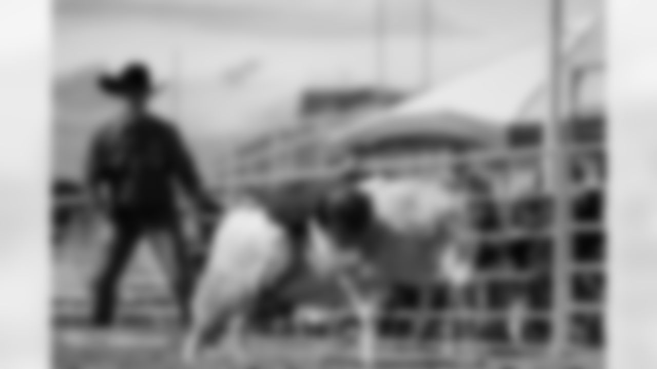 Photos from the filming of the Denver Broncos' mutton-busting-themed 2025 schedule release video.
Photo by Gabriel Christus / Denver Broncos