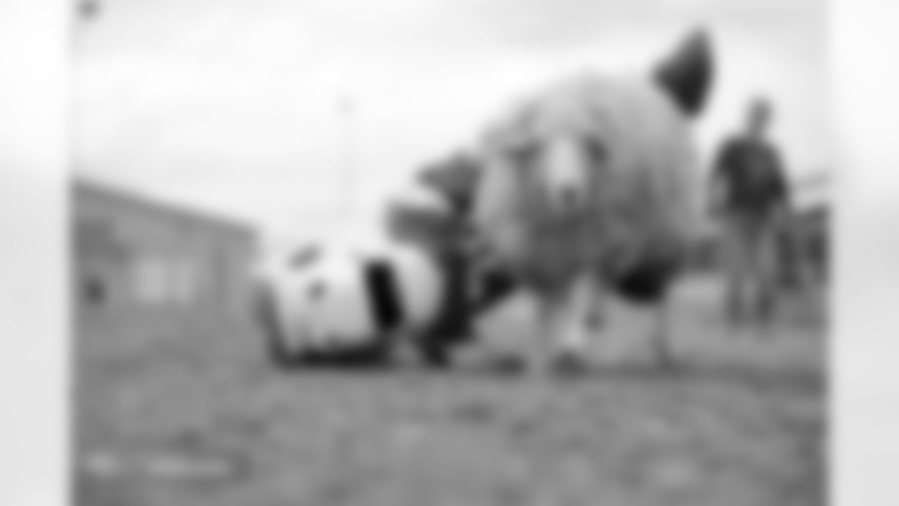 Photos from the filming of the Denver Broncos' mutton-busting-themed 2025 schedule release video.
Photo by Gabriel Christus / Denver Broncos