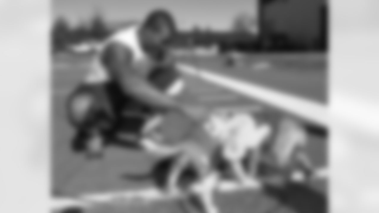 Demaryius Thomas plays with puppies up for adoption that were brought to the team facility by the Human Society of South Platte Valley on November 4, 2014. The canines were greeted by many of the players at the complex on their day off.