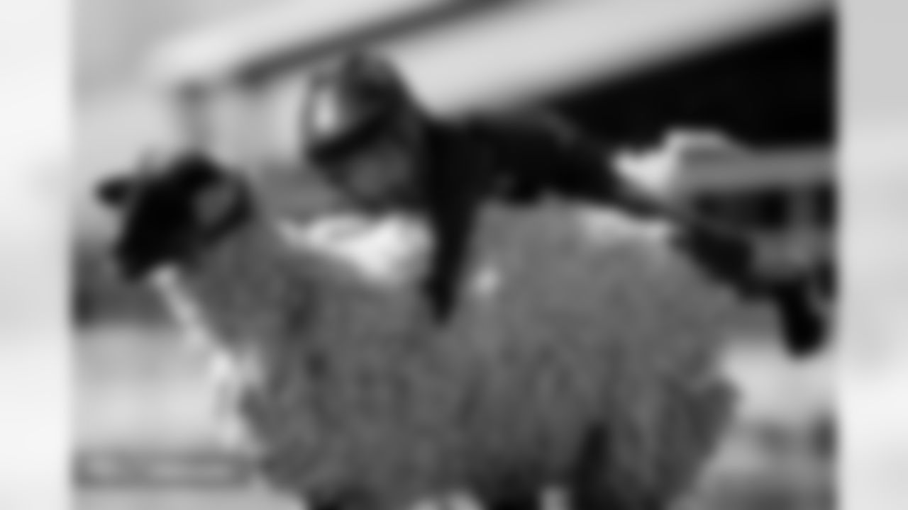 Photos from the filming of the Denver Broncos' mutton-busting-themed 2025 schedule release video.
Photo by Gabriel Christus / Denver Broncos