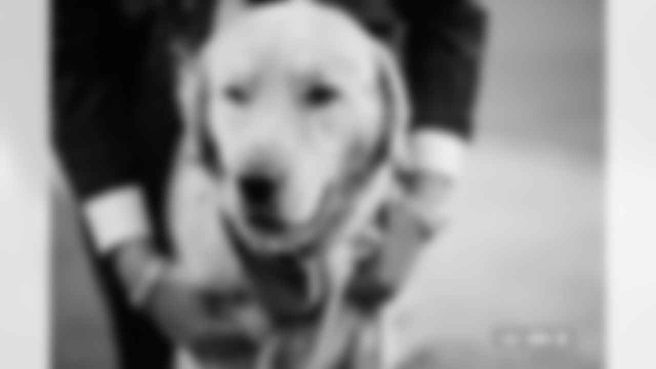 Kirk Herbstreit's dog, Peter, photographed on film during the Broncos' Week 10 game against the Las Vegas Raiders at Empower Field at Mile High in Denver, Colorado on November 7, 2025. Photo by Gabriel Christus / Denver Broncos