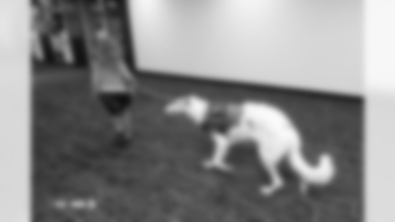 A fan walks her dog on the concourse during the Broncos' Week 10 game against the Las Vegas Raiders at Empower Field at Mile High in Denver, Colorado on November 6, 2025. Photo by Gabriel Christus / Denver Broncos