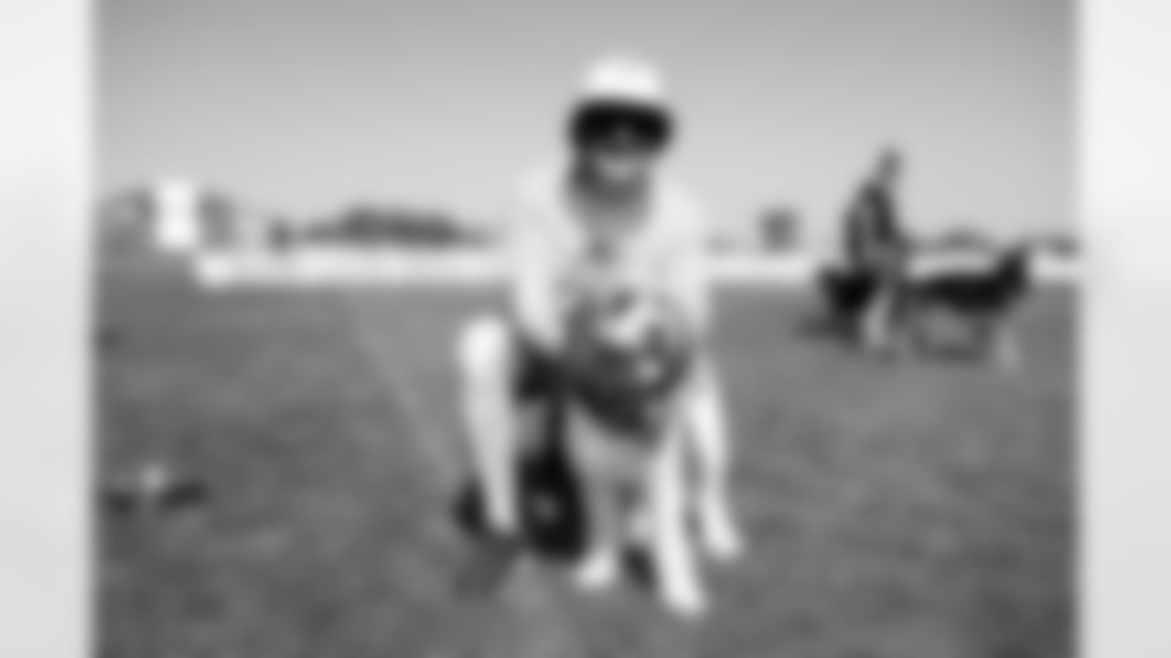 The 2025 Turf & Tails Barking Backers event at CrossCountry Mortgage Campus on June 22, 2025.
