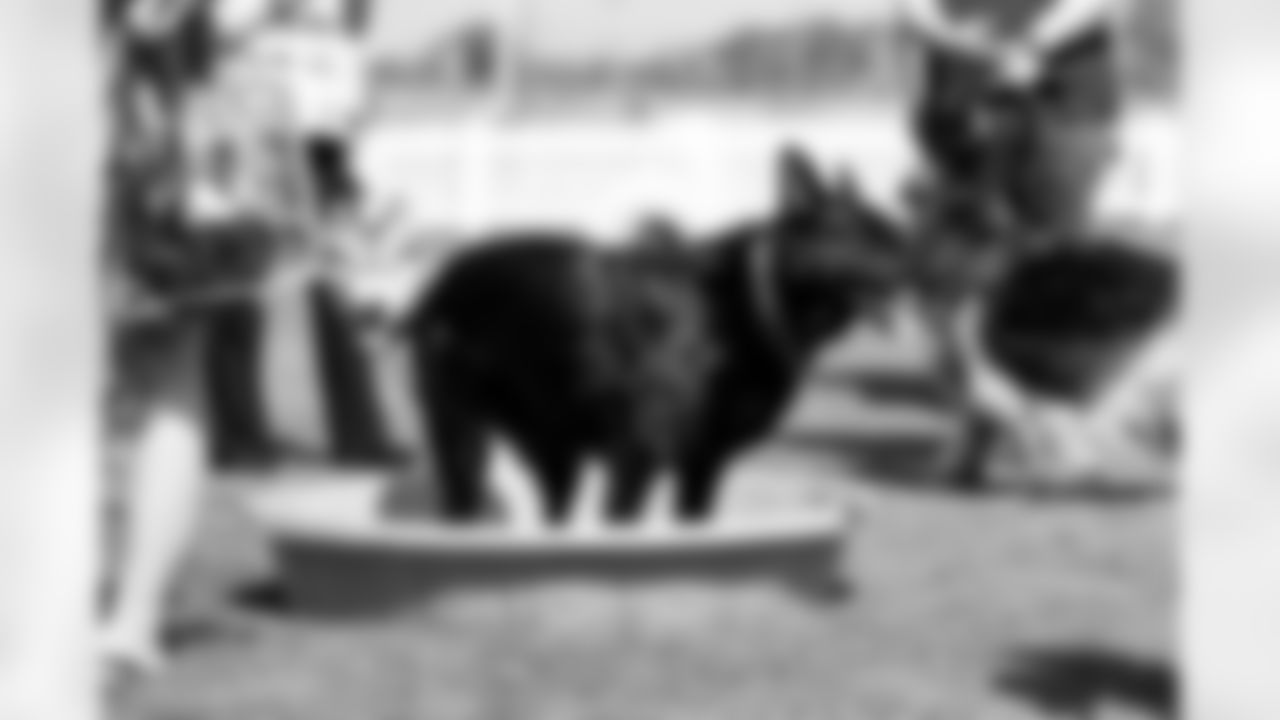 The 2025 Turf & Tails Barking Backers event at CrossCountry Mortgage Campus on June 22, 2025.