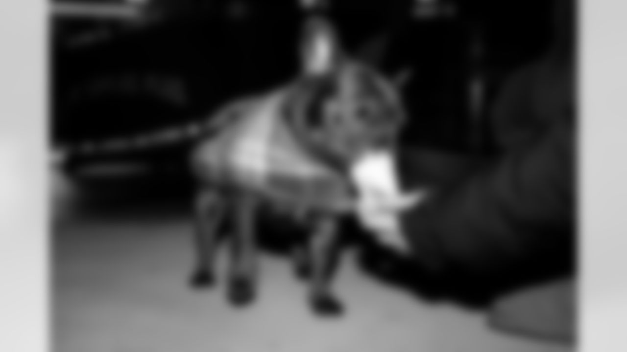 The 2025 Jingle Paws Barking Backers Event at Huntington Bank Field on December 10, 2025.