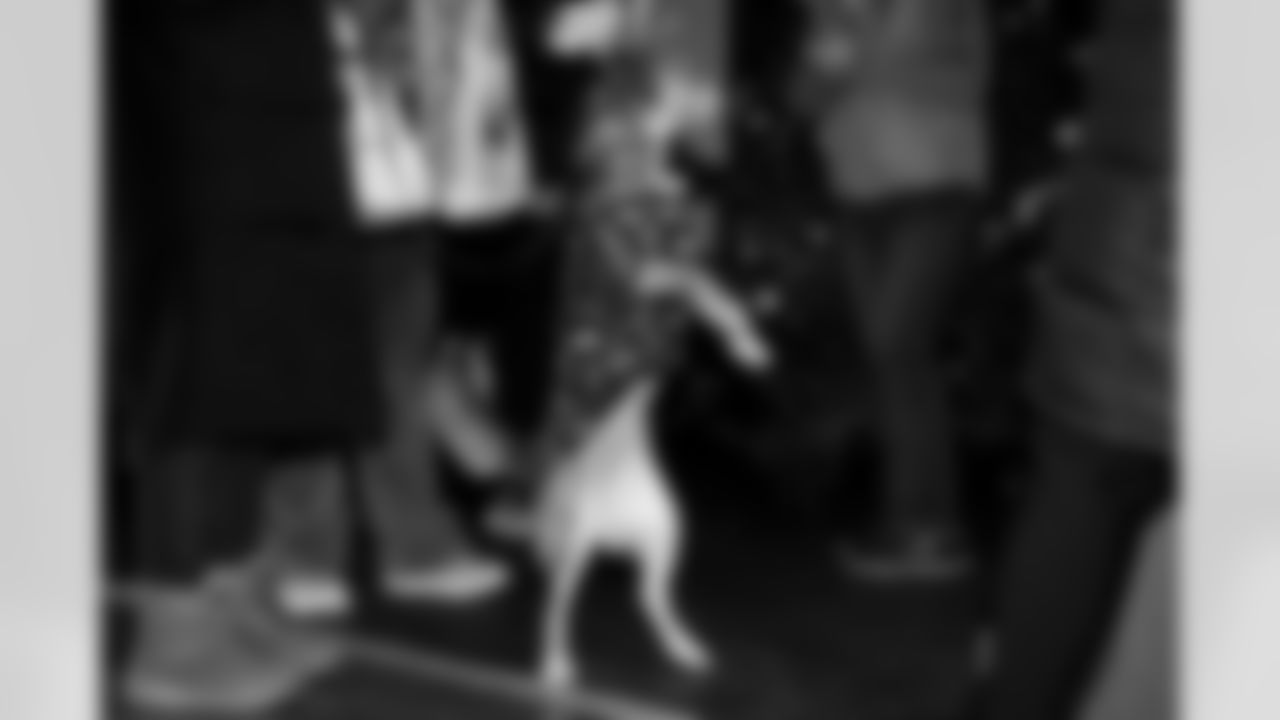 The 2025 Jingle Paws Barking Backers Event at Huntington Bank Field on December 10, 2025.