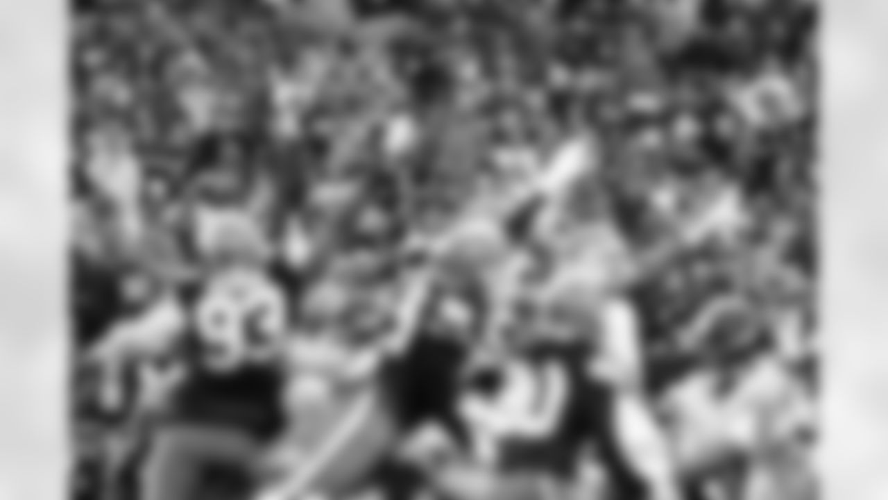 The fans during a NFL football game between the Pittsburgh Steelers and Cleveland Browns on December 28, 2025 at Huntington Bank Field.