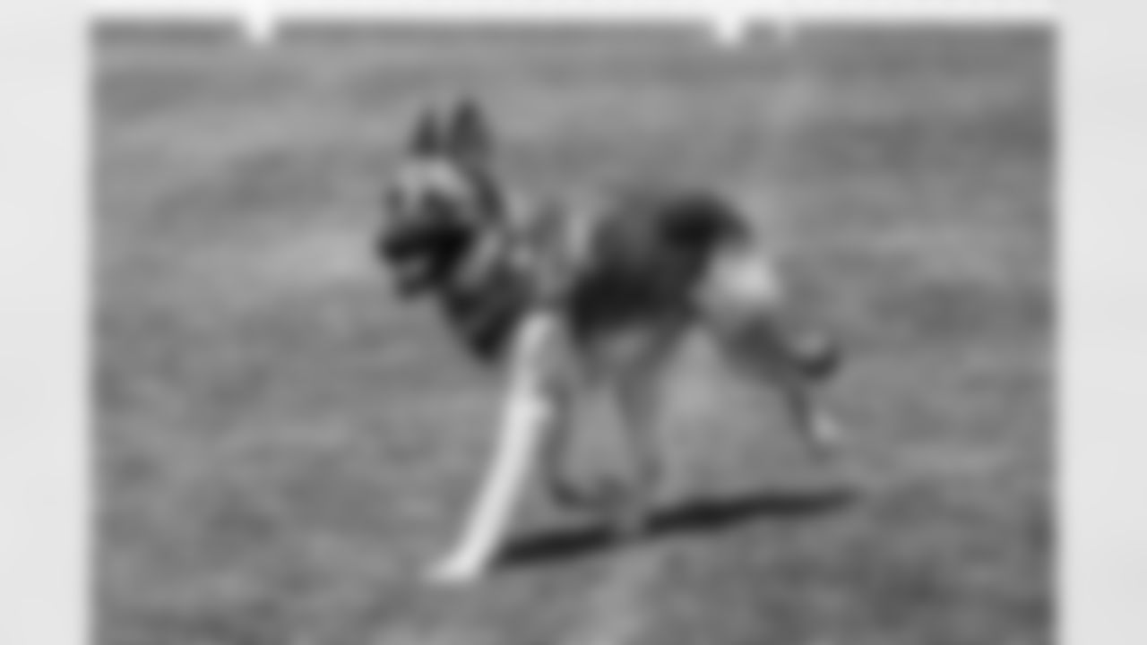 The 2025 Turf & Tails Barking Backers event at CrossCountry Mortgage Campus on June 22, 2025.