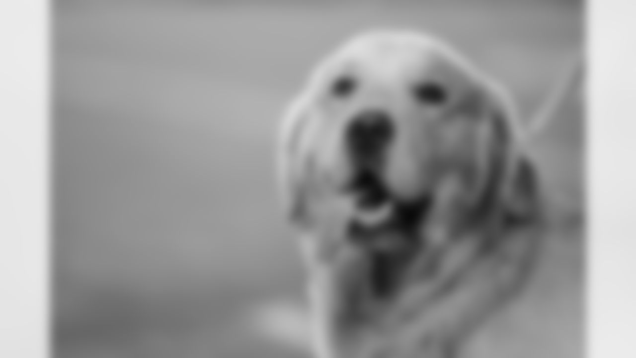 TAMPA, FL - December 11, 2025 - The Tampa Bay Buccaneers and Atlanta Falcons during a regular season game at Raymond James Stadium. The Bucs lost the game, 29-28. Photo By Kyle Zedaker/Tampa Bay Buccaneers