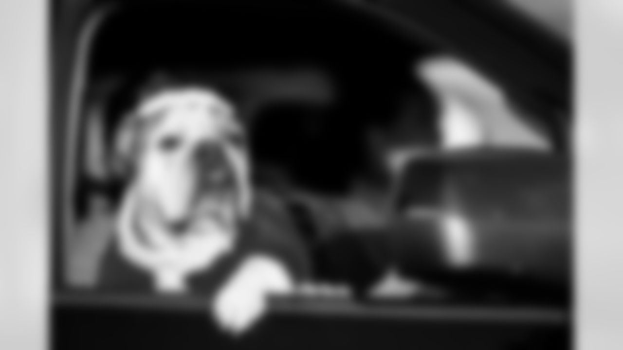 TAMPA, FL - November 25, 2025 - Dog during Turkey Time with the O-Line. Photo By Kyle Zedaker/Tampa Bay Buccaneers