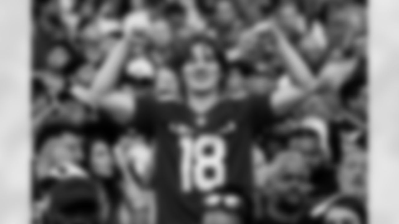 Fans during the Week 2 regular season game between the Arizona Cardinals and the Carolina Panthers on Sunday, Sep. 14, 2025 at State Farm Stadium.