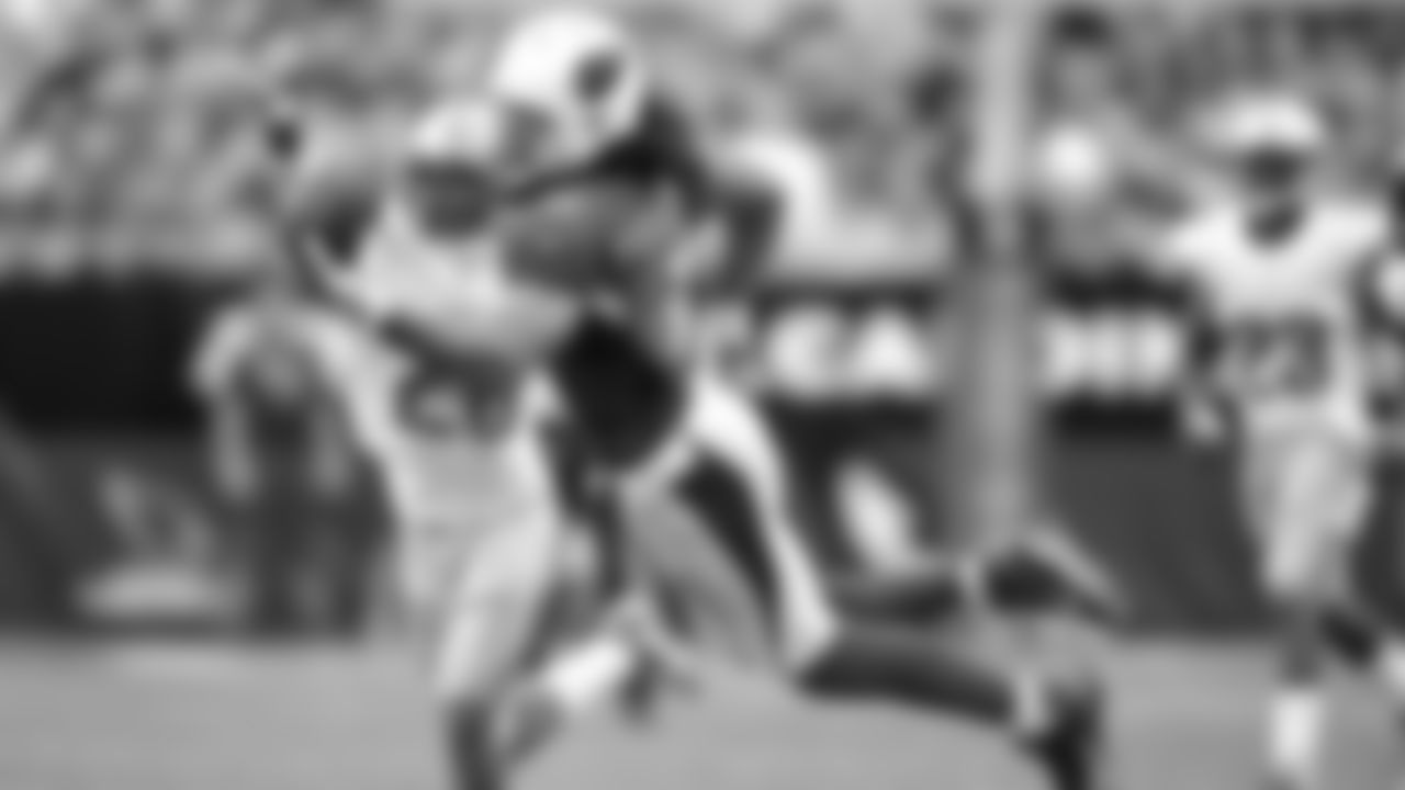 Larry Fitzgerald makes a diving catch against the Lions in 2013.