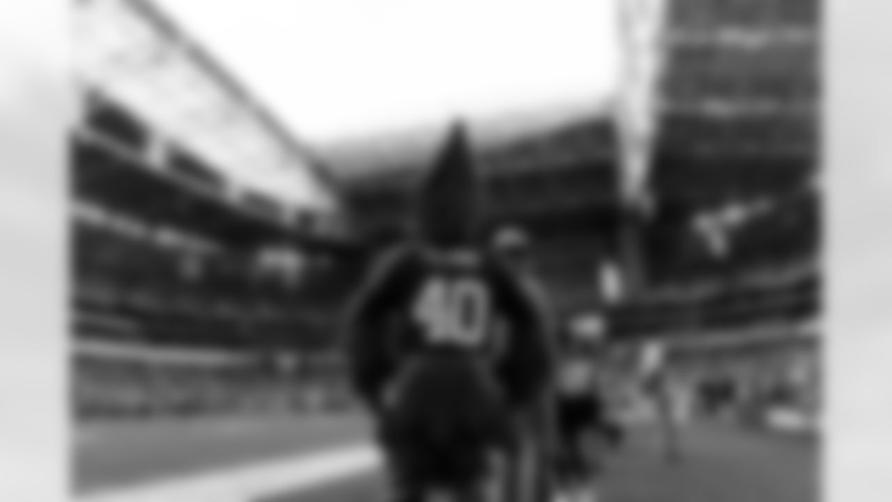 Big Red during the Week 11 regular season game between the Arizona Cardinals and the San Francisco 49ers on Sunday, Nov. 16, 2025 at State Farm Stadium.