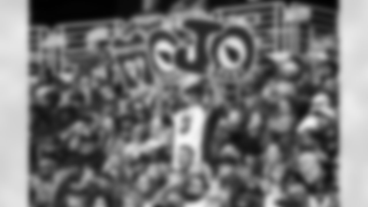 Fans during the Week 9 regular season game between the Arizona Cardinals and the Chicago Bears on Sunday, Nov 3, 2024 at State Farm Stadium.