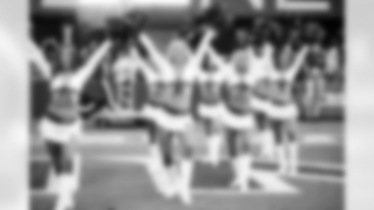 PANTHERS 243