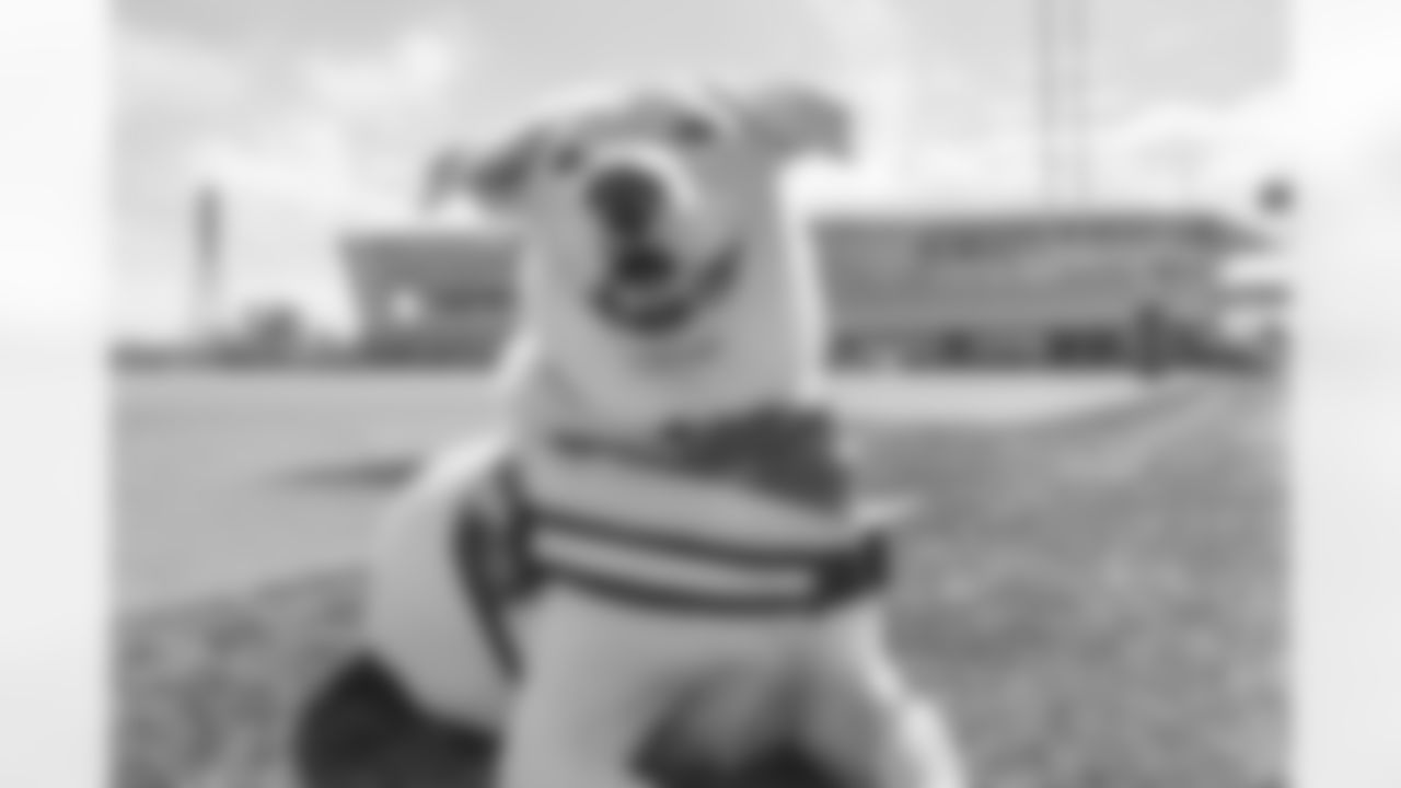 The Los Angeles Chargers service dog, Zeus, is photographed on Wednesday, September 24, 2025 at The Bolt in El Segundo, CA.